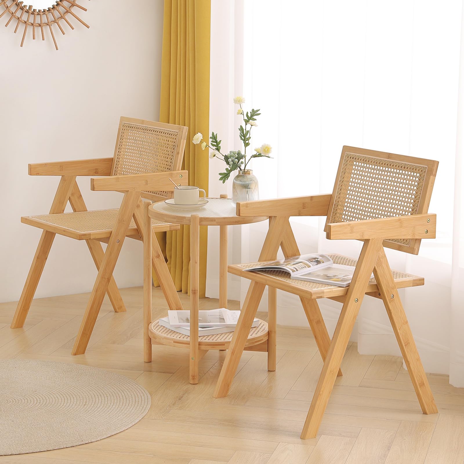 Dining Chairs Set of 2, Modern Mid Century Accent Chairs, Comfy Armchairs, Outdoor Rattan Chairs with Armrest for Bedroom Living Room