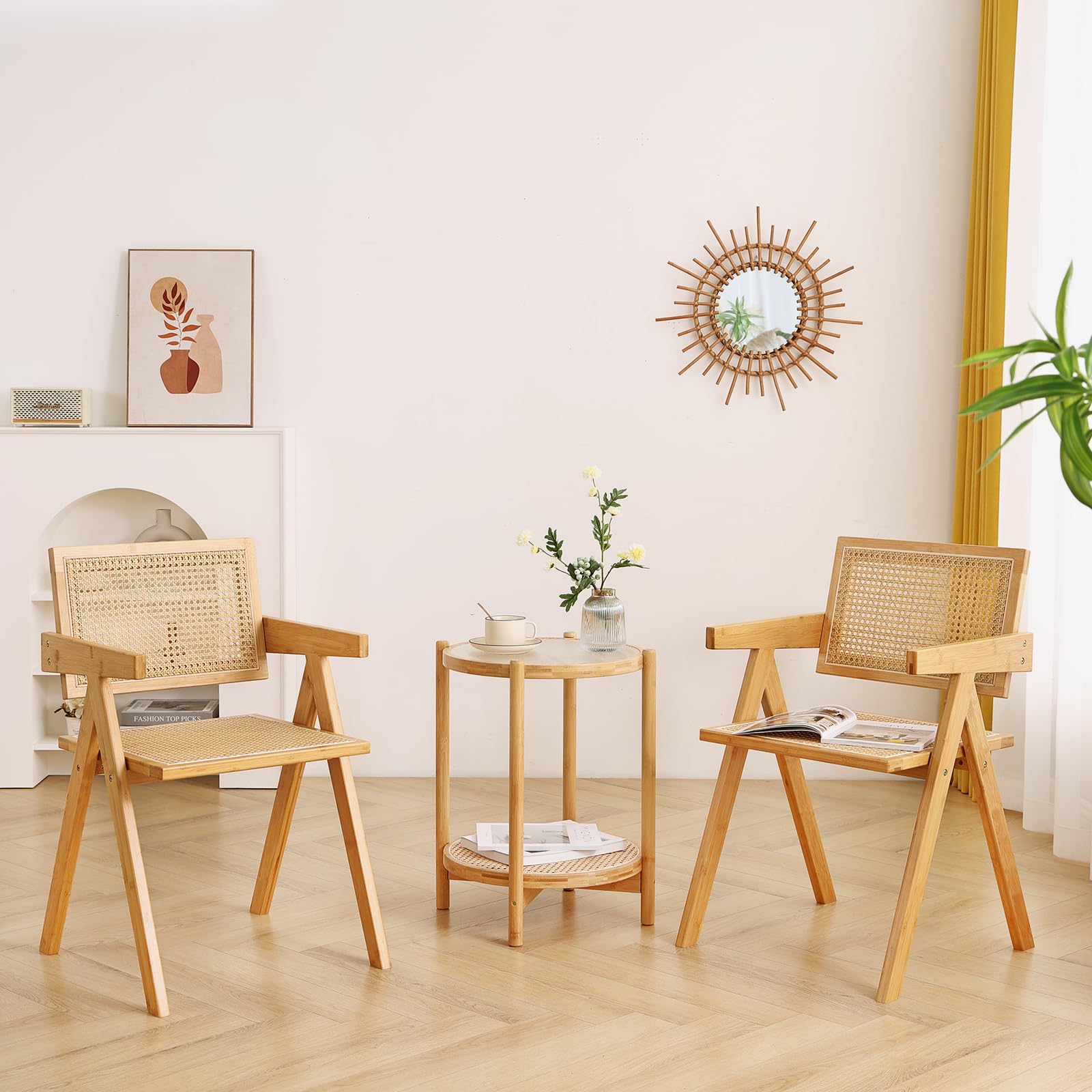 Dining Chairs Set of 2, Modern Mid Century Accent Chairs, Comfy Armchairs, Outdoor Rattan Chairs with Armrest for Bedroom Living Room